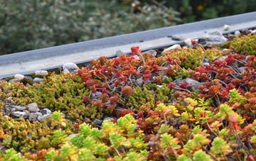 the cost of Fordwells green roof installation