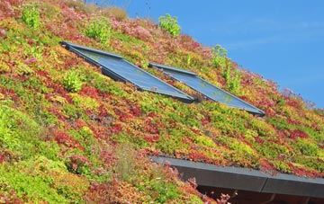 Fordwells living roof systems